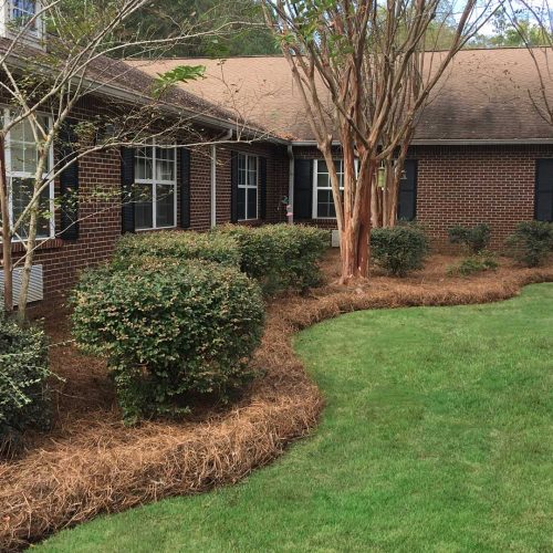 Lawn Care Company in Columbia SC, Commercial Lawn Care Company in Columbia SC, Lawn Care and Maintenance Services, Landscaping Services in Columbia SC,